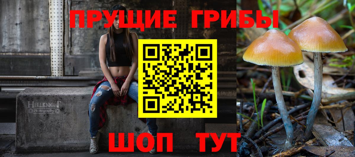 Учалы  Псилоцибиновые грибы GOLDEN TEACHER  Вход с VPN 